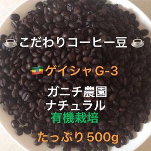 こだわりコーヒー豆　モカゲイシャG-3 500g 中深煎り　自家焙煎珈琲　ガニチ農園　有機栽培　ナチュラル