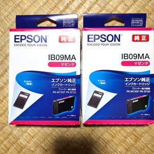 未開封 EPSON エプソン 純正インクカートリッジ IB09MA　60s24-0609