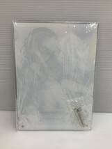 62-KT3909-80s にじさんじ 2021 誕生日グッズ 天宮こころ アクリルパネル 未開封品_画像3