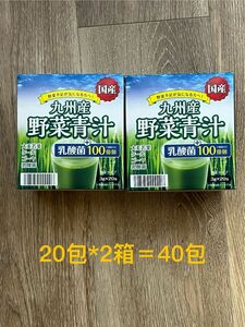 野菜青汁乳酸菌 大麦若葉 40包