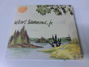 albert hammond jr your to keep CD