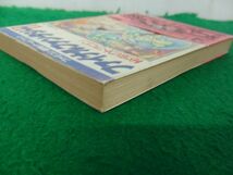 ファミコン冒険ゲームブック ファイナルファンタジー2 秘法のドラゴン 1989年第3刷発行帯付き※記録紙に書き込みあり_画像4