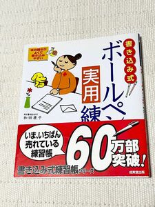 書き込み式 ボールペン字実用練習帳