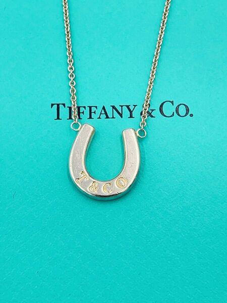 値引き不可TIFFANY&Co.ティファニーホースシューネックレス