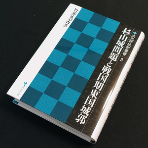 品薄！★「杉山城問題と戦国期東国城郭」★竹井英文著　激論を繰り広げる杉山城の問題点を整理・抽出　津久井城 深大寺城 多気城 難波田城