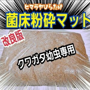 クワガタ幼虫専用☆菌床粉砕マット【5L】オオクワガタ、ヒラタ、ニジイロクワガタ、ノコギリに！瓶に詰めるだけ！菌糸の甘い香りがします