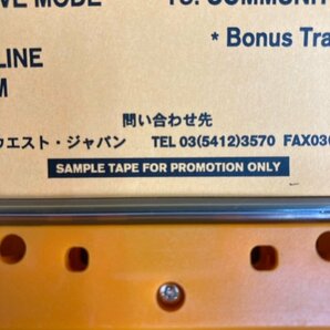 希少! レア! プロモ ASIAN DUB FOUNDATION / Community Music カセットテープ 非売品 サンプル品 エイジアンダブファウンデーション digjの画像7