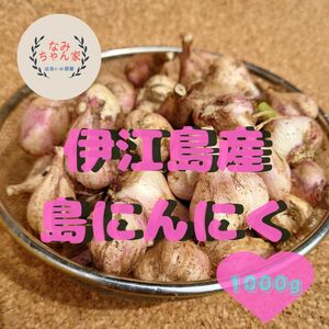 伊江島産 TS 1kg 島にんにくSS・Sサイズ 土付き