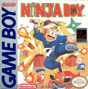 ★送料無料★北米版 Ninja Boy スーパーチャイニーズランド 