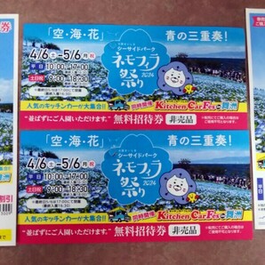 ＊送料無料＊大阪シーサイドネモフェラ祭り 招待券＆割引券４枚セット の画像1