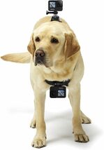 GoPro Fetch　ドッグハーネス ADOGM-001 ペット　撮影用_画像8