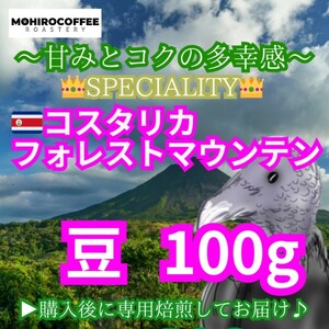 【豆】 コスタリカ フォレストマウンテン 生豆時 100g コーヒー 珈琲 自家焙煎 コーヒー豆 スペシャルティコーヒー