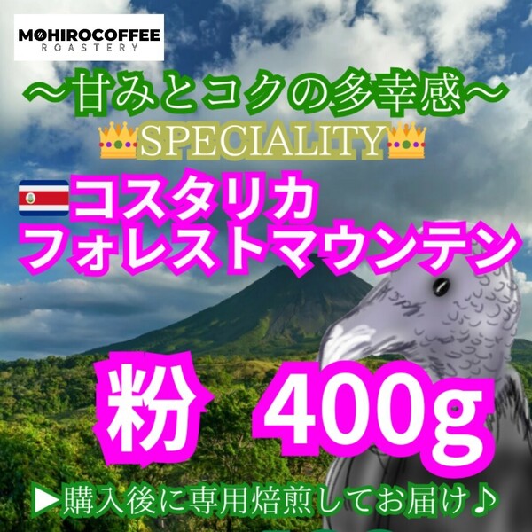 【粉】 コスタリカ フォレストマウンテン 400g コーヒー 珈琲 自家焙煎 コーヒー豆 スペシャルティコーヒー