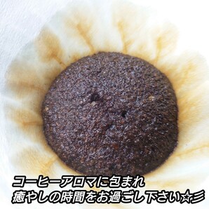 【豆】 コスタリカ フォレストマウンテン 生豆時 400g コーヒー 珈琲 自家焙煎 コーヒー豆 スペシャルティコーヒーの画像7