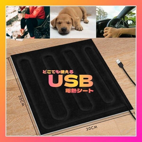 ホットマット 一人用 ミニ USB ヒーター 電気 パッド 電熱ヒーター ペット ホットカーシート ホット パット シート usb