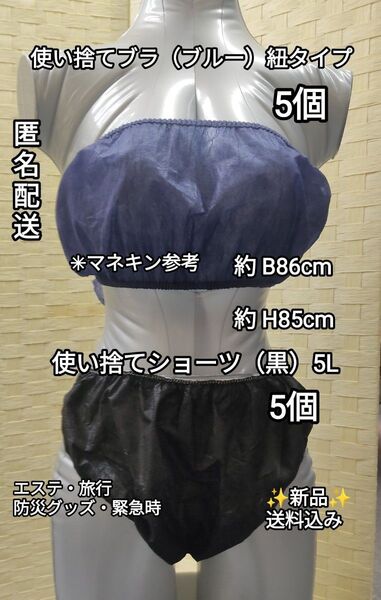 【匿名発送】ペーパーショーツ上下 5L 5個+紙ブラ 5個 旅行・防災グッズ