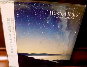 帯、フライヤー付き!浜田省吾　wasted tears インサート付き!アナログ!入手困難!貴重!