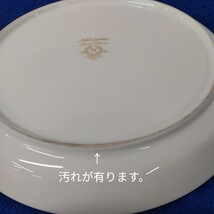 g_t T241 ノリタケ　Noritake　中皿　薔薇柄　洋食器　_画像3