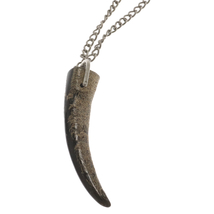 JOHN LAWRENCE SULLIVAN ジョンローレンスサリバン Buffalo Bone necklace バッファローボーン ネックレス ブラウン シルバー_画像3