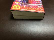 送料込み　3月刊　処刑寸前の悪役令嬢なので、死刑執行人（実は不遇の第二王子）を体で誘惑したらヤンデレ絶倫化した／亡国の悪妃_画像4