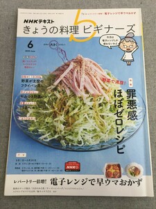 特2 53685 / きょうの料理ビギナーズ 2020年6月号 特集:野菜で満腹! 罪悪感ほぼゼロレシピ レパートリー倍増! 電子レンジで早ウマおかず