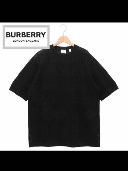 BURBERRY バーバリー メッシュ ニット Tシャツ a1189