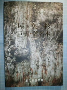 Ω　屋久島＊写真と文『屋久杉　巨樹・著名木』屋久杉自然館刊行・屋久営林署協力版