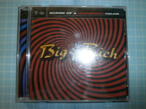 Ω　ＣＤ＊Ｃ＆Ｗ＊Ｂｉｇ ＆ Ｒｉｃｈ『HORSE OF A DIFFERENT COLOR』ヒップホップ時代の今風のＣ＆Ｗというバージョン