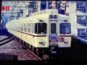 81 京王電鉄 5000系 鉄道写真