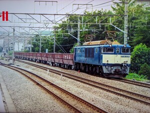 141 JR EF64-1038 貨物 鉄道写真