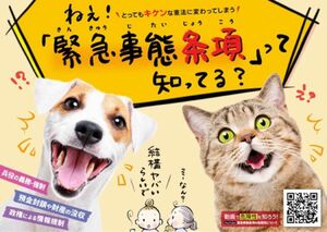 ポスティング用チラシ_緊急事態条項反対_B6_犬猫【200枚】