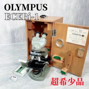 OLYMPUS オリンパス 双眼実体顕微鏡 ECEBi-1 顕微鏡 生物 実験器具 化学