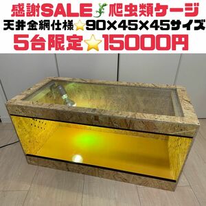 爬虫類ケージ　オプション付きページ