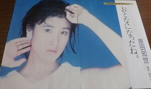 ★80年代アイドル【原田知世②】 6ページ切抜き　送料140円