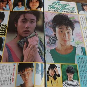 ★80年代アイドル【原田知世⑥】 水着10ページ切抜き 送料140円の画像6