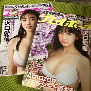 週刊プレイボーイ 2019 No.51 2023 No.27 沢口愛華&くろがねさら DVD 広瀬アリス 清水綾乃 山田南美 まりな 朱夏 白濱美兎