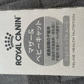 １ケース 100g×24個 マザー＆ベビーキャット 猫用 ロイヤルカナン キトン ウルトラ ソフト ムースの画像1