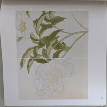 [花]池上秀畝素描集1　京都書院 _画像5