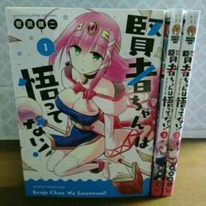 賢者ちゃんは悟ってない!　全巻初版　全3巻　完結　セット　まとめ　菅原健二　ドラゴンコミックスエイジ　富士見書房