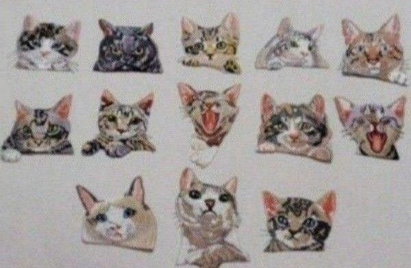 猫の刺繍をしたアイロンワッペン 13種類セット