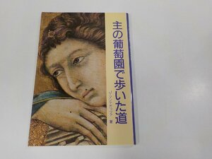 E1832◆主の葡萄園で歩いた道 J・マンテガッツァ ドン・ボスコ社 シミ・汚れ有☆