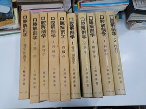 set988◆口腔解剖学1-5 上條雍彦 アナトーム社 函破損・シミ・汚れ・書込み・破れ・折れ有♪♪