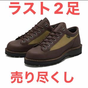 【ラスト2足限定セール】【¥11500→10000円】DANNER フィールドD121018