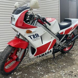 ヤマハtzr250 低走行1,300キロ？ 書付きエンジン実働 シングルシートカバー付きの画像3