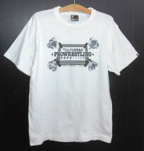 ◇美品 A BATHING APE アベイシングエイプ 全日本プロレス 2003 Bape Sta!! Prowrestling Zepp Tour Tシャツ L_画像1