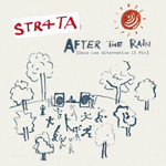 STR4TA / AFTER THE RAIN (DAVE LEE ALTERNATIVE II MIX) (12)