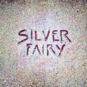 MEGUMI ACORDA / SILVER FAIRY (2CD)