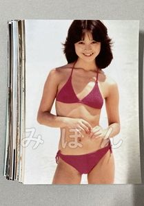 ☆　石川ひとみ　昭和アイドル　L判　写真　50枚セット