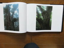 日本の原生林 水越武写真集 岩波書店 1990年 _画像3