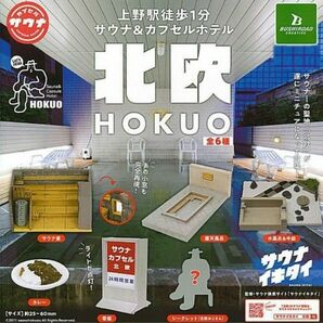 上野駅徒歩1分 サウナ＆カプセルホテル 北欧 HOKUO 全6種